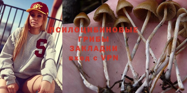 прущие грибы Алексеевка