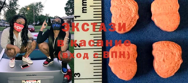 гидра Аркадак