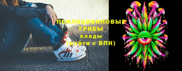 прущие грибы Арсеньев
