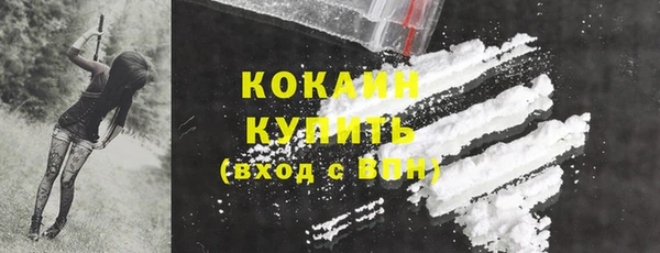 гидра Аркадак