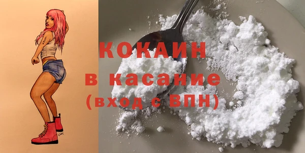 гидра Аркадак
