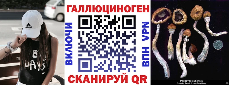 МЕГА tor  Красный Кут  Галлюциногенные грибы Psilocybine cubensis  цены  