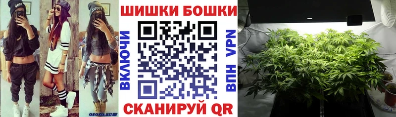 Конопля сатива  Красный Кут 